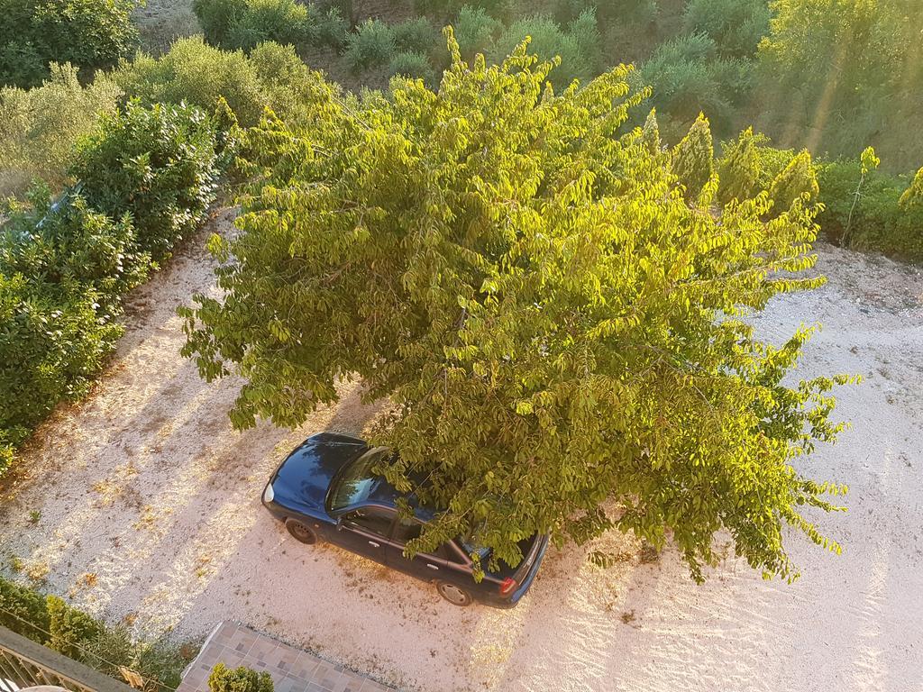 شقة Alexia Ferentinou فيسكاردو المظهر الخارجي الصورة