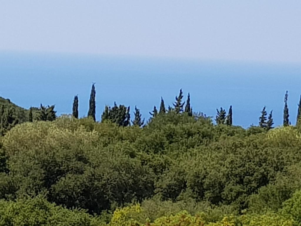 شقة Alexia Ferentinou فيسكاردو المظهر الخارجي الصورة